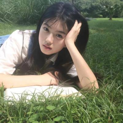 寻找特洛伊